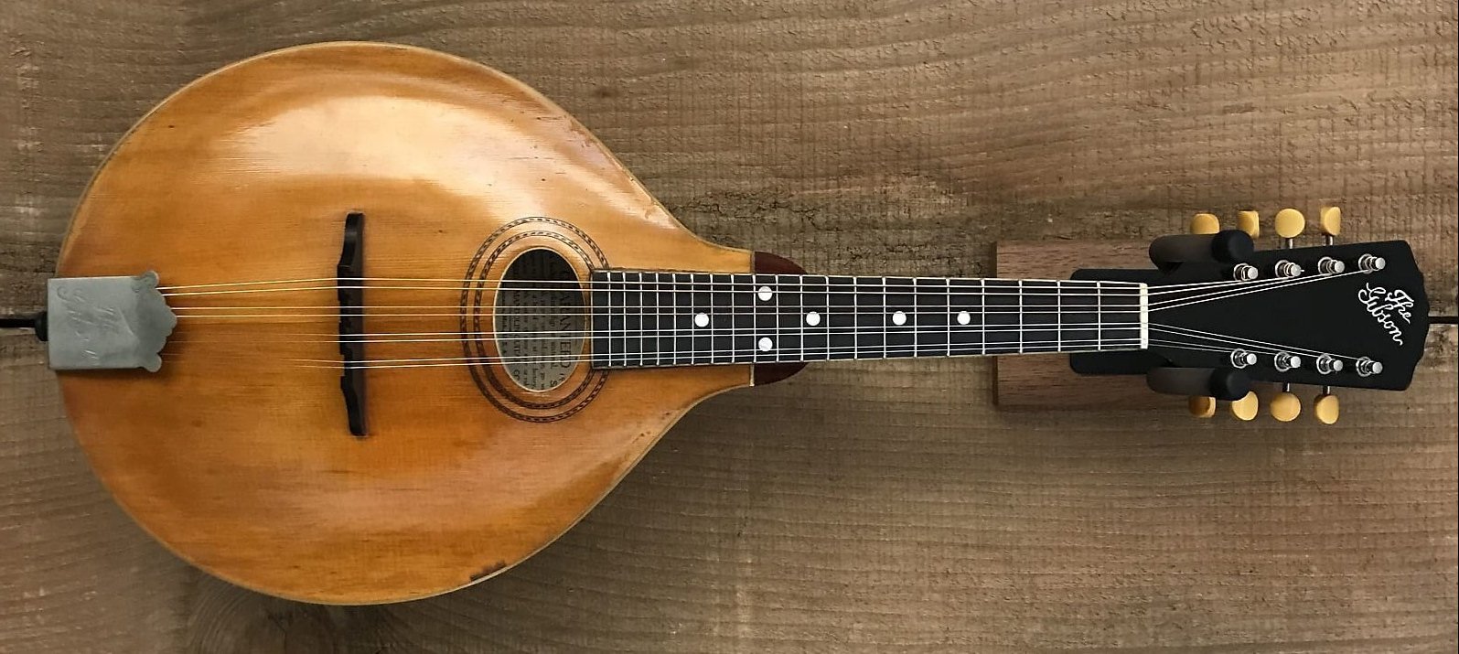 early_gibson_a_mandolin